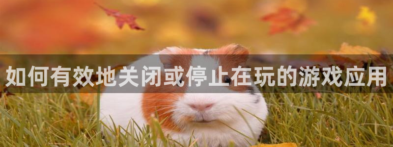 鼎点娱乐网页版地址：如何有效地关闭或停止在玩的游戏应用