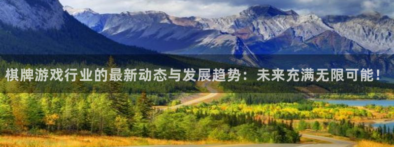 鼎点娱乐在线登录：棋牌游戏行业的最新动态与发展趋势：未来充满
