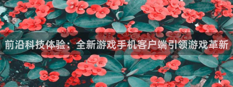 鼎点娱乐登录地址：前沿科技体验：全新游戏手机客户端引领游戏革
