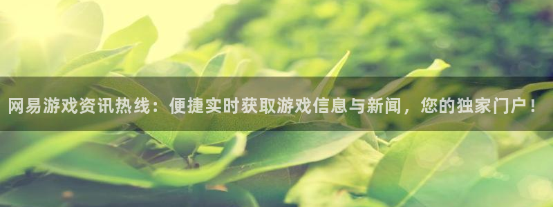 鼎点娱乐平台登录线路：网易游戏资讯热线：便捷实时获取游戏信息