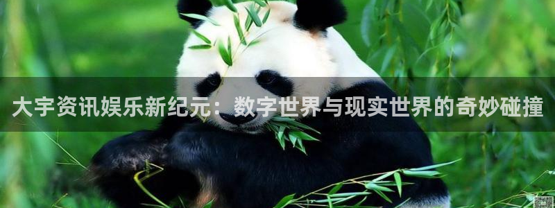 鼎点娱乐娱乐：大宇资讯娱乐新纪元：数字世界与现实世界的奇妙碰