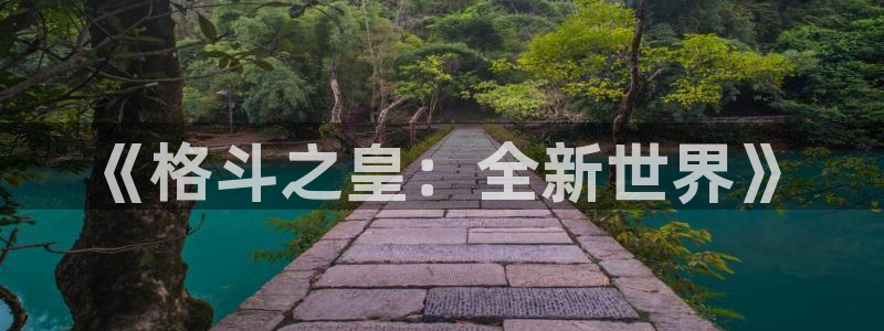 鼎点娱乐是什么：《格斗之皇：全新世界》